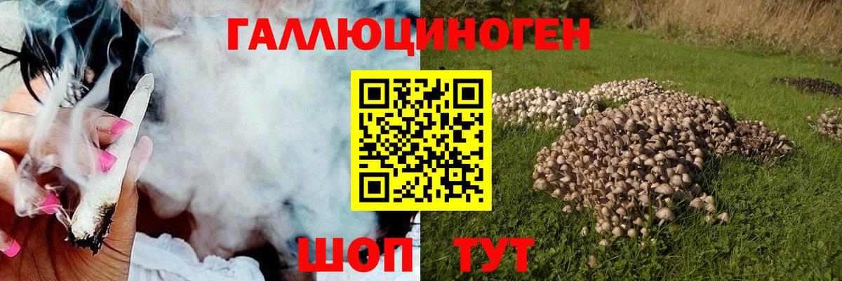 Галлюциногенные грибы MAGIC MUSHROOMS  Вход с VPN  Клин 