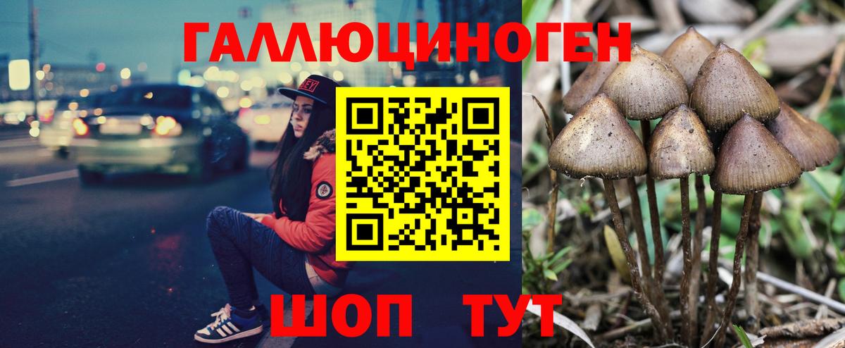 Псилоцибиновые грибы мицелий Клин